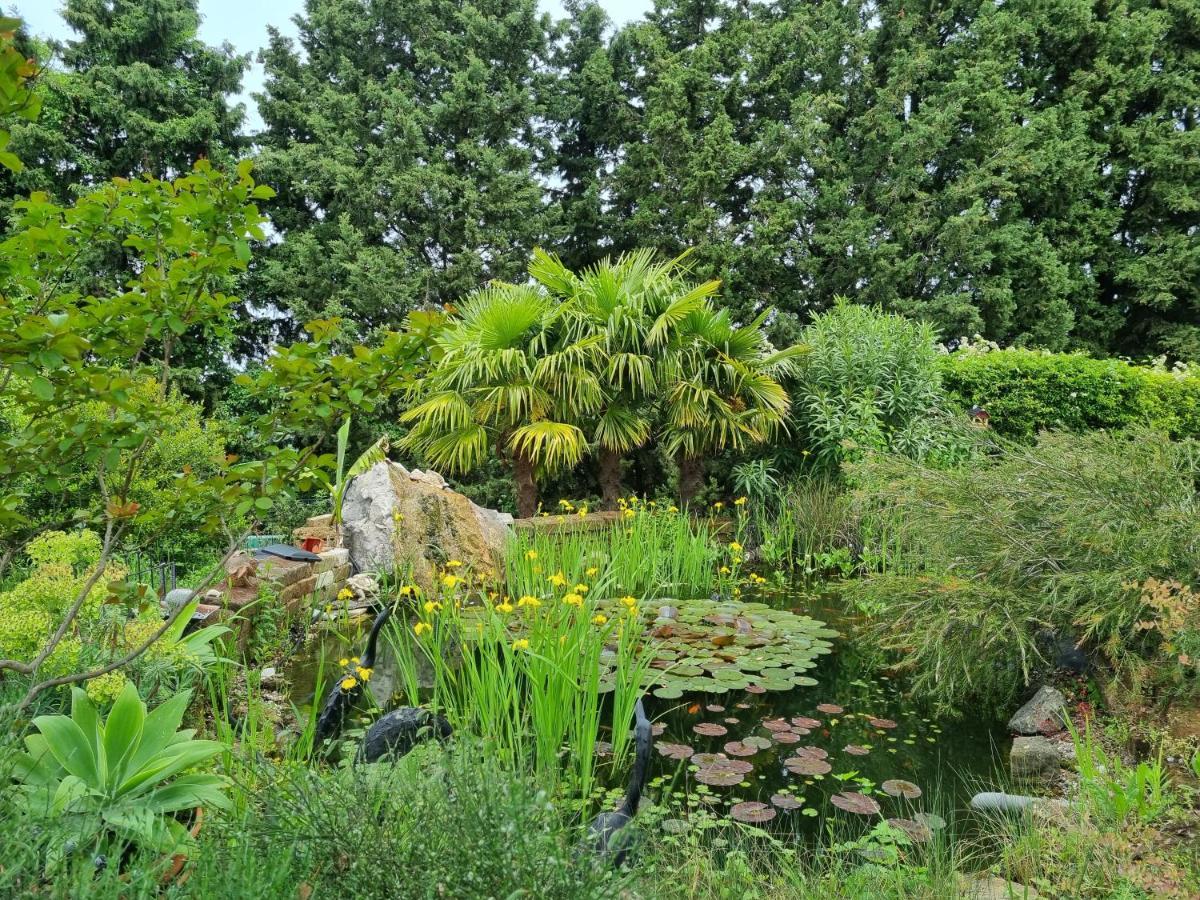 Garden Apartment Sečovlje Exteriér fotografie